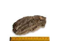 F 01225
<br/>
<br/>
<em></em>